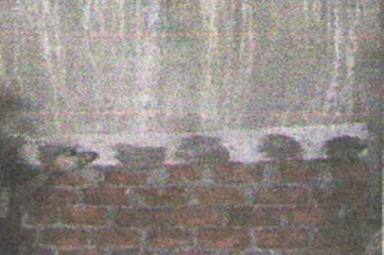  Glass Fiber Mesh